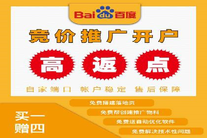 竞价SEM成功案例解析：关键词优化策略